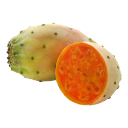 Prickly Pear $10.00