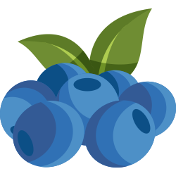 Blueberry