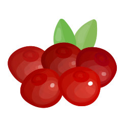 Cranberry