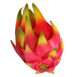 Dragon Fruit $10.00