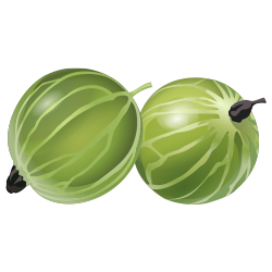 Gooseberry