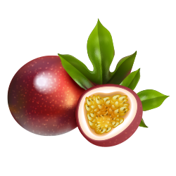 Passion Fruit $10.00