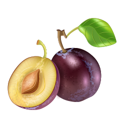 Plum