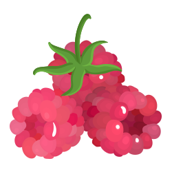 Raspberry